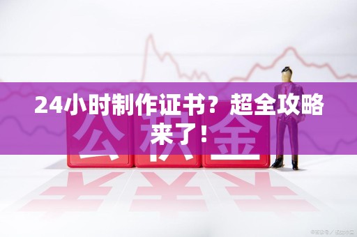 新罗24小时制作证书？超全攻略来了！